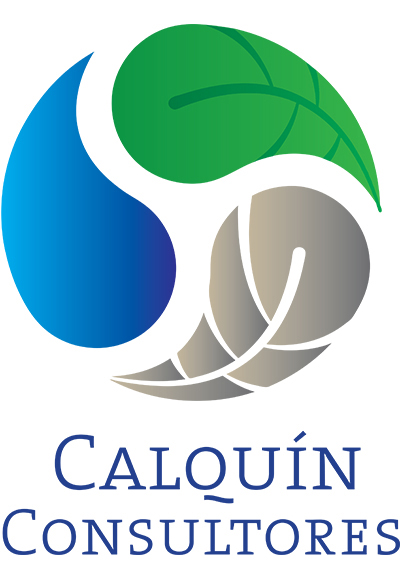 Calquin consultores